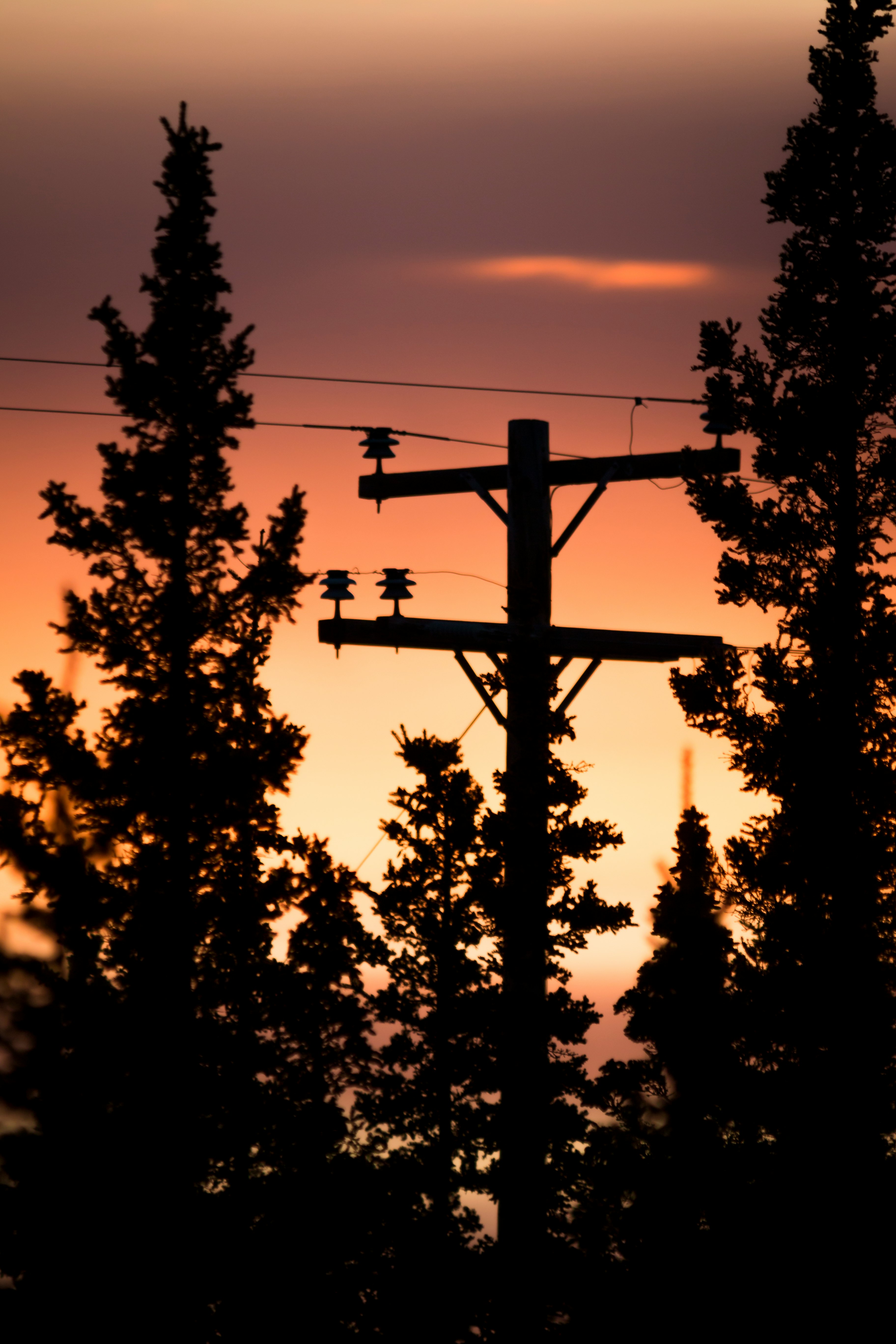 silhouette photograph of black utility post